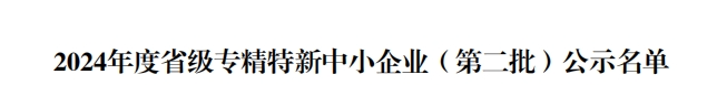 省級(jí)殊榮！江蘇迅鐳榮獲2024年度“江蘇省專精特新中小企業(yè)”稱號(hào)！(圖4)